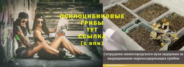 герыч Волоколамск